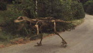 Undead Velociraptor
