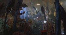 Alien Rainforest Organisms