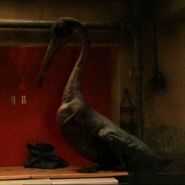 Hesperornis