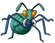 Army Ant