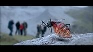 Hybrid Mosquito