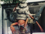 Hermit Crab Mozoo