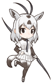 Arabian Oryx