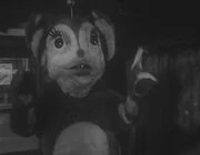 Chamegon Galactic Creatures Wiki Fandom