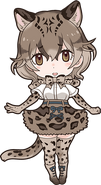 Marbled Cat