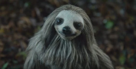 Alpha (Slotherhouse) | Galactic Creatures Wiki | Fandom