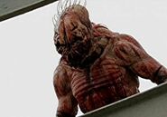Feast Beast