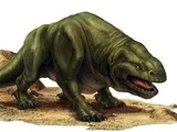 Dewback