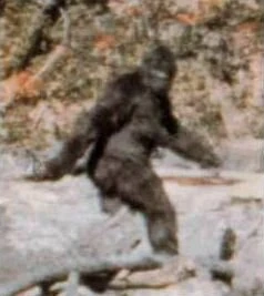 ビックフット BIGFOOT (259) Searching for Bigfoot in Salt Fork State Park