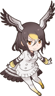 Northern Goshawk