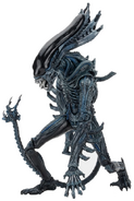 Gorilla Xenomorph