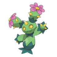 Maractus