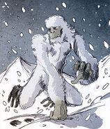 Yeti