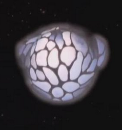 Sphire Galactic Creatures Wiki Fandom Sphire Galactic Creatures Wiki Fandom