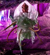 Helmet Jellyfish Alien