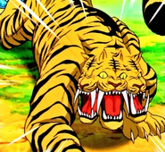 Asura Tiger