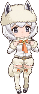 Huacaya Alpaca