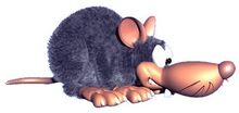 Neek