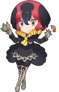 Australian Brushturkey