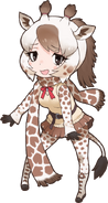 Angolan Giraffe