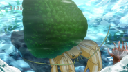 Hermit Avocrab