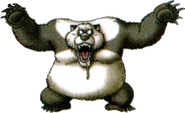 Ursa Panda