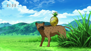 Hyenapple