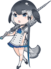 Narwhal