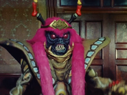 Amulet Boma