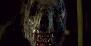 The bear staring at Josie during the interrogation scene.
