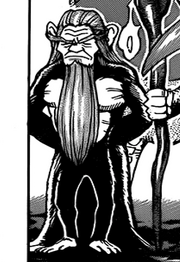 Aged Ape
