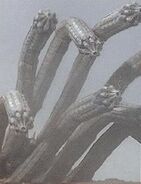 Hydra Worm