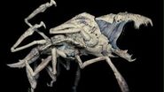 Human Scale Parasite