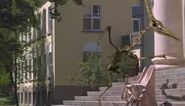 Undead Pteranodon