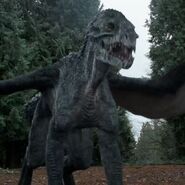 Alina in her dragon form from Beyond Sherwood Forest.