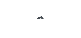 Unknown Civilian Ship