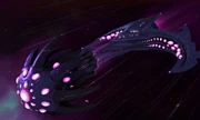 A Void Carrier in the Shroud Nebula