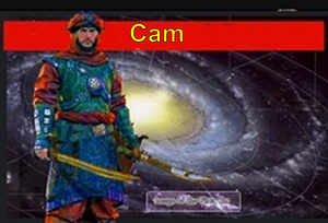 Cam