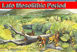 Late Mesolithic Period