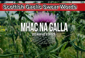 Scottish Gaelic Swear Words .png