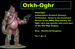 Orkiporki