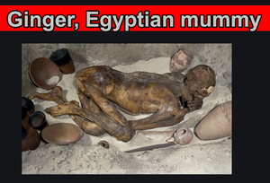 Ginger, Egyptian mummy.png