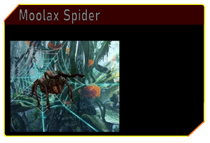 Moolax SpiderMoolax Spider