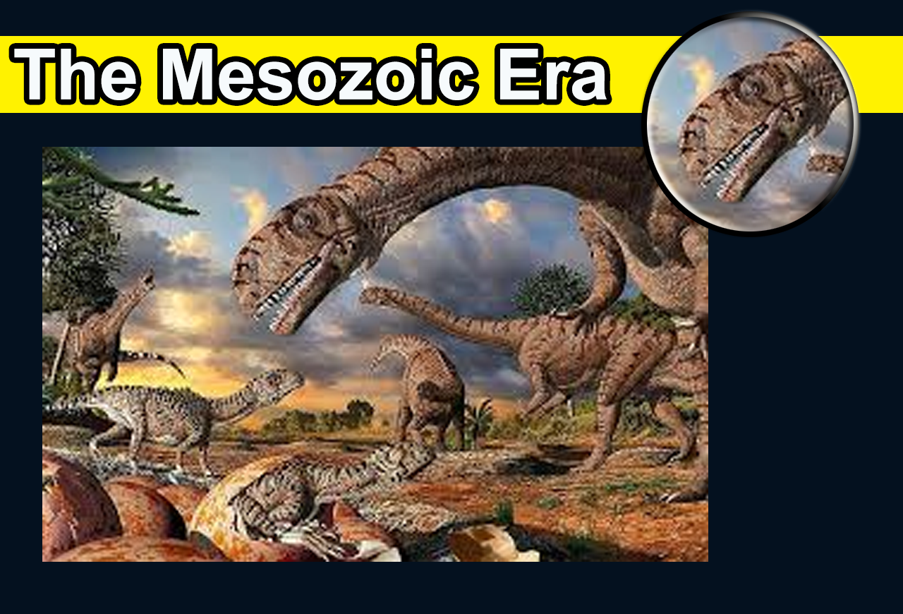 mesozoic era