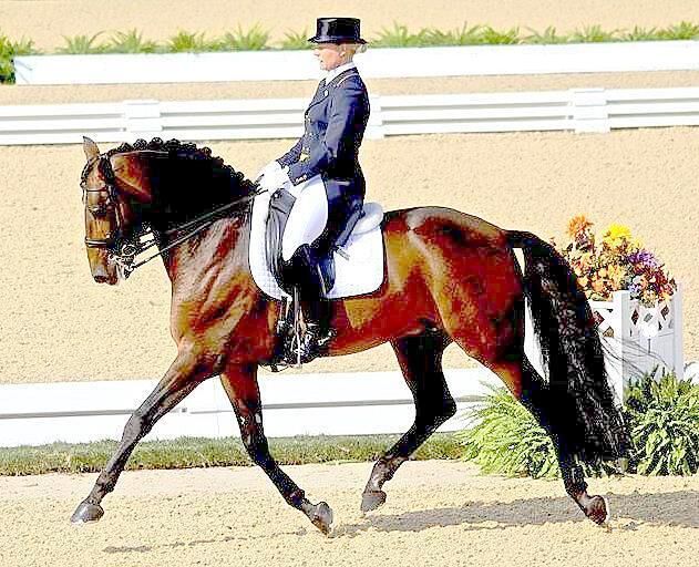 English riding cheap