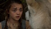 Arya adieu Nymeria-1(1x02)