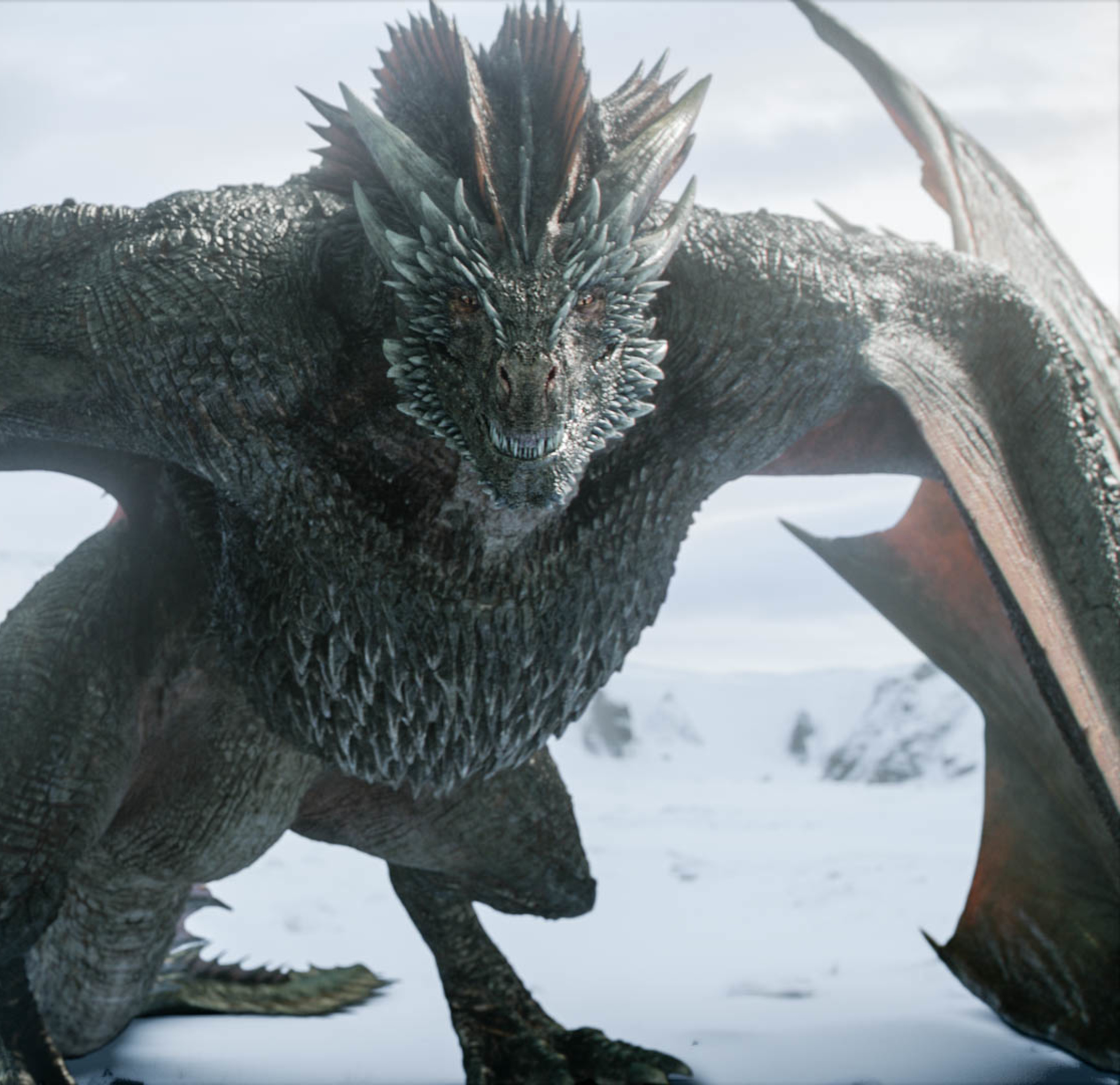 Drogon, Wiki Game of Thrones