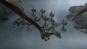 Piqué de Drogon sur la flotte d'Euron Greyjoy