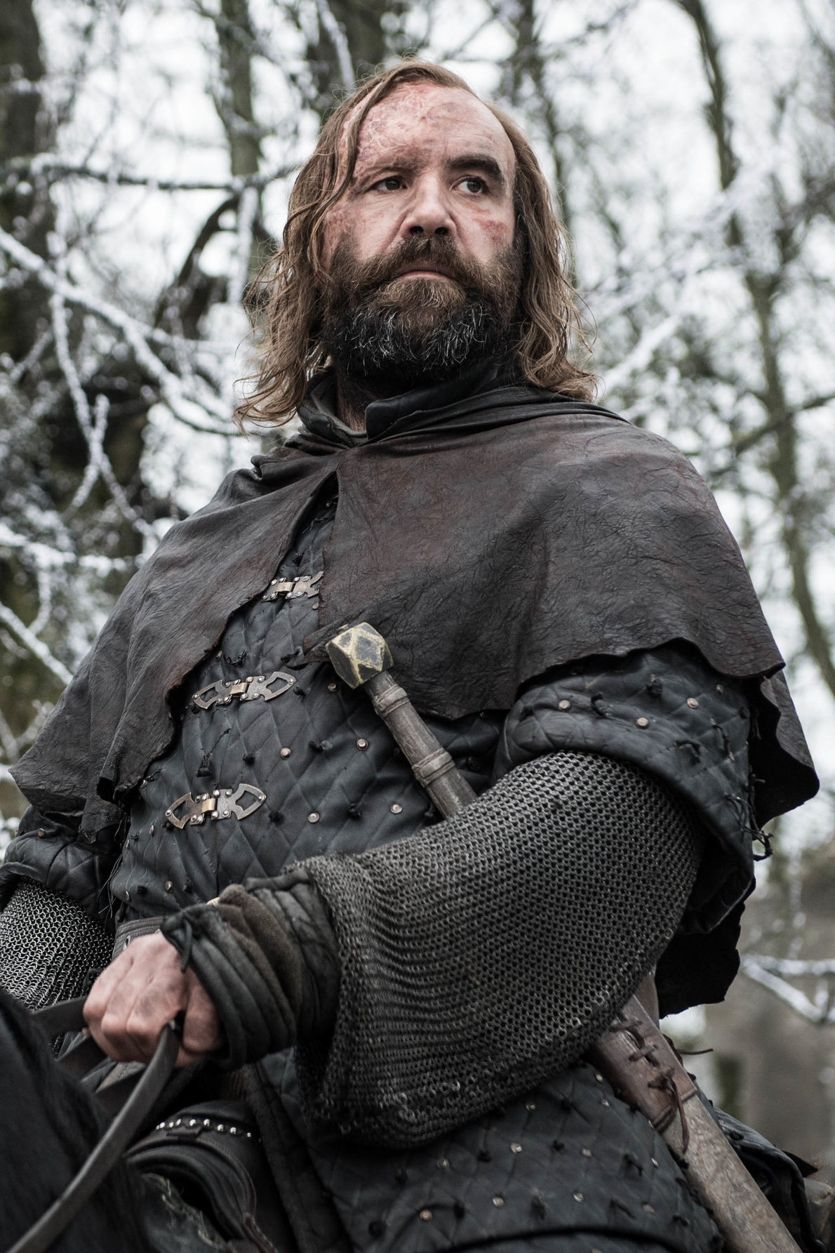 Comment est surnommé Sandor Clegane dans la série Game of Thrones ?