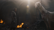 Arya et le cheval